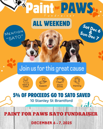 Paint for Paws Sato Fundraiser